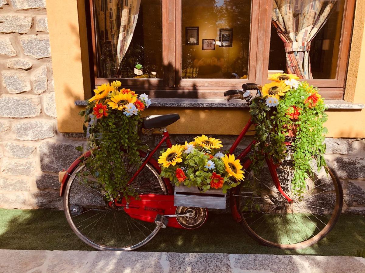 Paradiso Della Bici Morbegno Eksteriør bilde