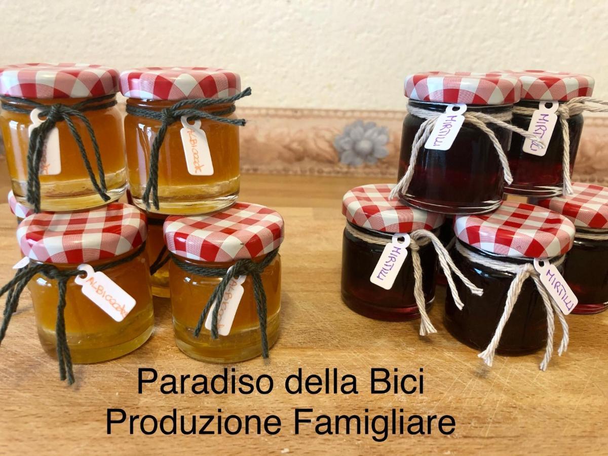 Paradiso Della Bici Morbegno Eksteriør bilde